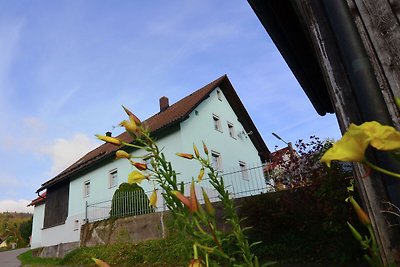 Schönes Ferienhaus mit großem Garten bei...