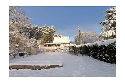 Wohnung mit 1 Schlafzimmer