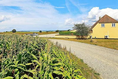 6 Personen Ferienhaus in Faaborg-By Traum