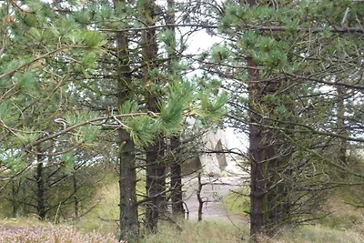 6 Personen Ferienhaus in Rømø-By Traum