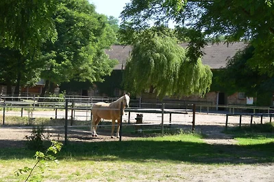 5 - Gut Langerwisch
