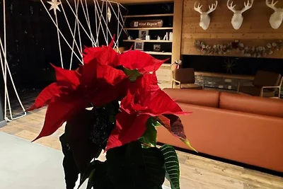 Verblijf in Residentie Le Ridge