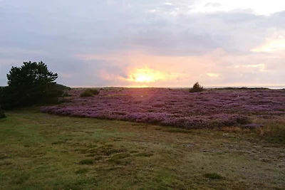 6 persone case ad Læsø-By Traum