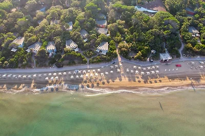 Bungalow in San Vincenzo