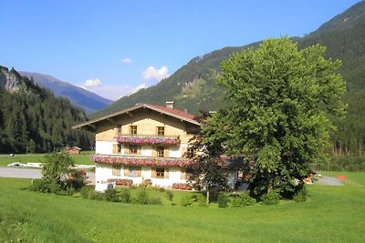 Gemütliche Wohnung in Krimml mit Balkon