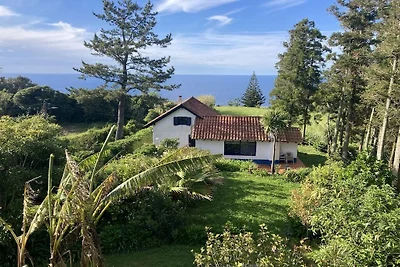 Ferienhaus mit 1 Schlafzimmer