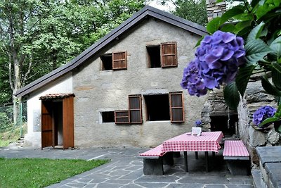 Typical, Romantic Tessiner Cottage