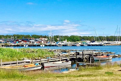 4 persoons vakantie huis in SÖLVESBORG-By...