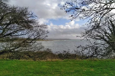 6 Personen Ferienhaus in Rønde-By Traum