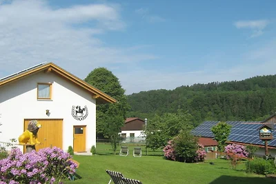 Vakantie- en paardenboerderij Zankl