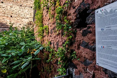 Il Giardino di Aci Comfortabele...