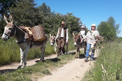 Gezinsvriendelijke vakantie bij Landhaus...