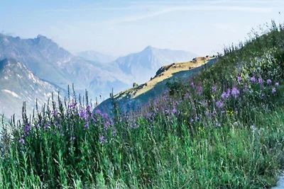 Chalet in Bettex mit Sauna und Skizugang