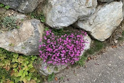 Ferienwohnung "Bärental" Ferienwohnung...