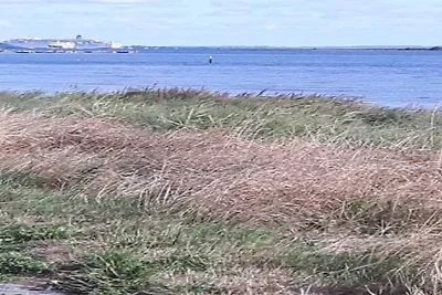 3 Personen Ferienhaus in Ærøskøbing-By Traum