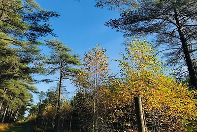 7 Personen Ferienhaus in Fjerritslev-By Traum