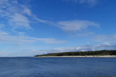 5 Sterne Ferienhaus in Dronningmølle