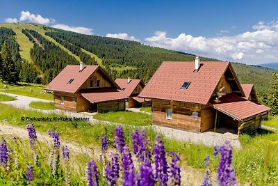 Casa vacanze con sauna nella pianura vinicola