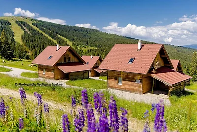 Almhütte Weinebene mit Sauna auf der...