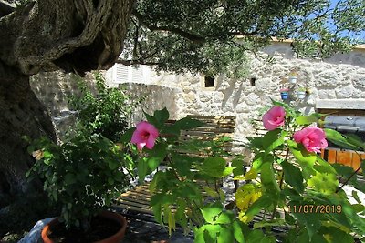 Dubrovnik -  Haus Stijepo - Orasac