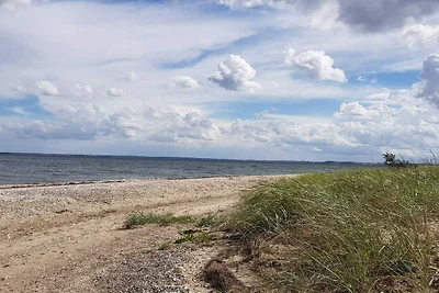 26 Personen Ferienhaus in Roslev-By Traum