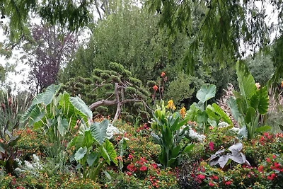 Aufenthalt bei Allees Riquet