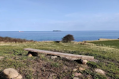 8 persoons vakantie huis in Ebeltoft-By Traum
