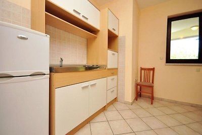 Appealing Apartment in Novalja near Seabeach