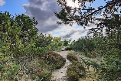 5 Personen Ferienhaus in Snedsted