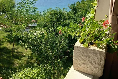 Guest House Green Corner Supetarska Draga - S...