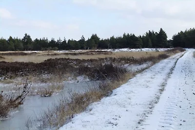 Ferienhaus in Rømø mit Schwimmbecken
