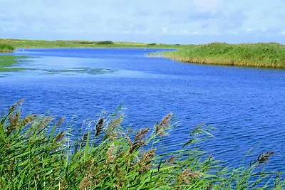 5 Personen Ferienhaus in Hemmet-By Traum