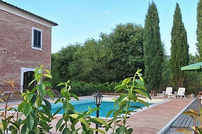 Fornace del Conte - Vigneto