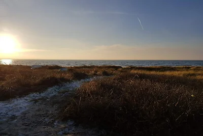 Ruhiger Strand-Ruckzug -- By Traum...