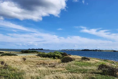4 Personen Ferienhaus in Ærøskøbing-By Traum