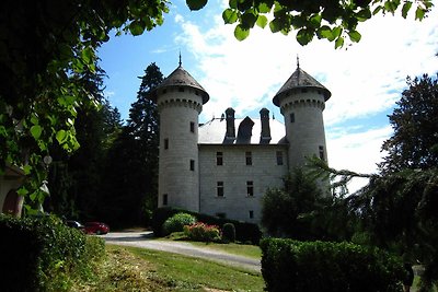 Gerenoveerd kasteel appartement met zwembad