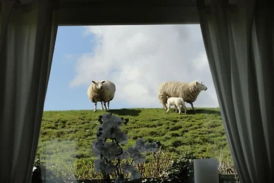 Ferienhaus mit 3 Schlafzimmer