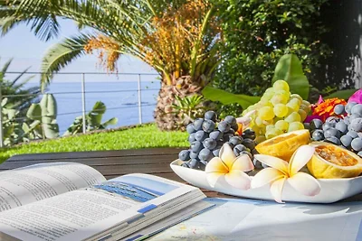 Quinta Golfinho - Casa Nenufar