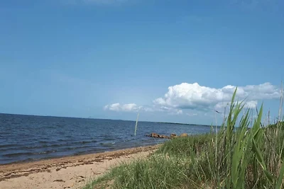 5 Personen Ferienhaus in Tarm