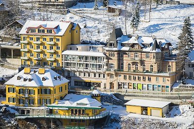 Gemütliche Wohnung in der Nähe von Skipisten