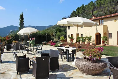 Landgut in Monte Serra mit Pool & Olivenblick
