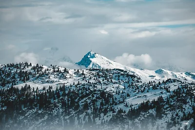 Ferienwohnung mit 3 Schlafzimmern