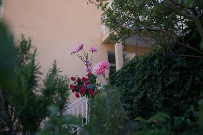 Villa Dubravka - Superior Studio Apartment wi...