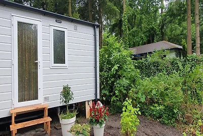 Neues Ferienhaus in Hattemerbroek mit...