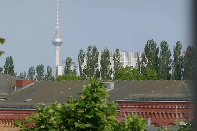 Studio 2 HV Zentel