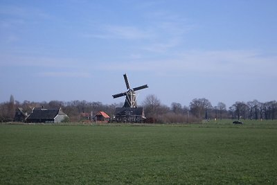 Rietgedekte schuur met prachtig uitzicht