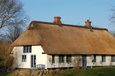 Reetdachkate in der Wiese