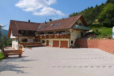 Paradies im Schwarzwald 2