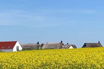 Ferienhaus mit 1 Schlafzimmer