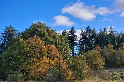 Ritiro di lusso con spa a Thorsager -- By Tra...